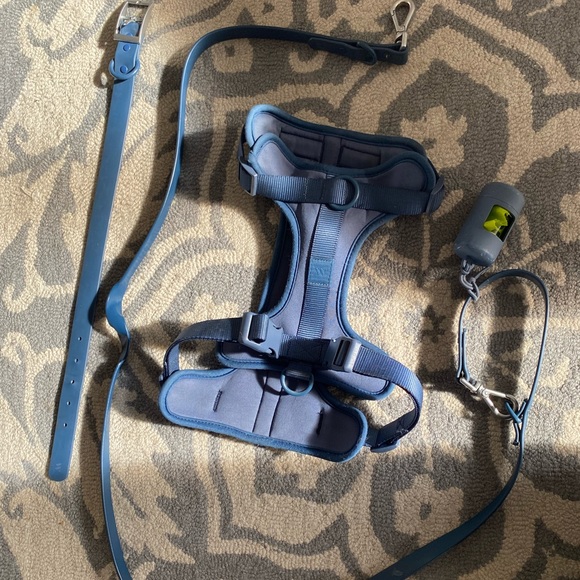 Wild One dog harness set + collar - Picture 2 of 10